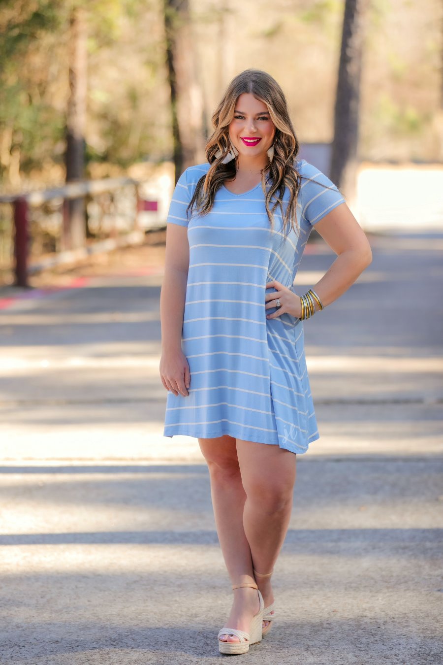 Abby Perfect V-Neck Chambray Striped Dress