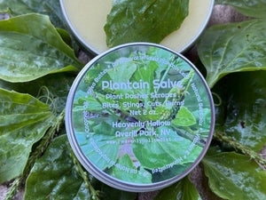 Plantain Herbal All Natural Skin Salve