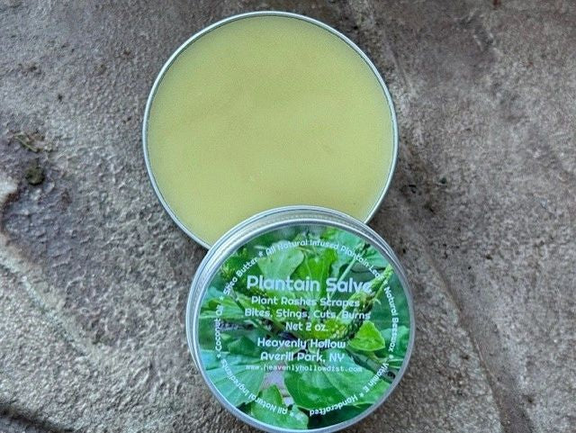 Plantain Herbal All Natural Skin Salve