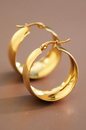 The Faye Stainless Steel Hoops